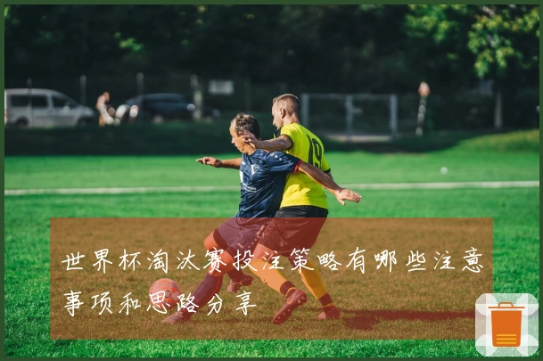世界杯淘汰赛投注策略有哪些注意事项和思路分享