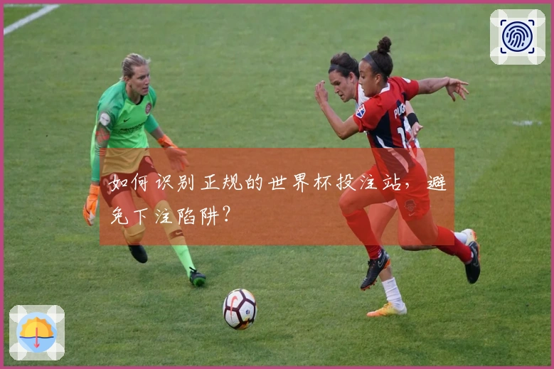 如何识别正规的世界杯投注站，避免下注陷阱？